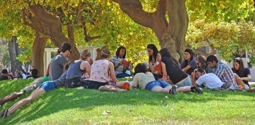 large group of students sit on the mounds in a circle